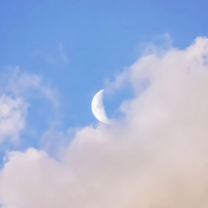 国产极品两年半一起草
