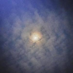 国产极品两年半一起草
