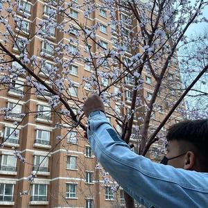 国产极品两年半一起草
