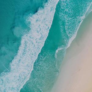 国产极品两年半一起草
